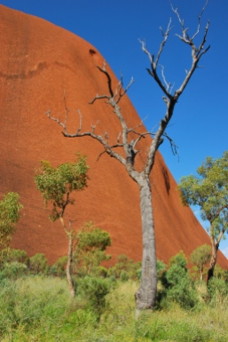Uluru (Foto: Helga Ehrecke)