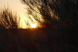 Sonnenuntergang am Uluru (Foto: Michael Kleinert)