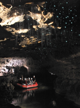 Spellbound Glowworm Cave (Foto: Spellbound)